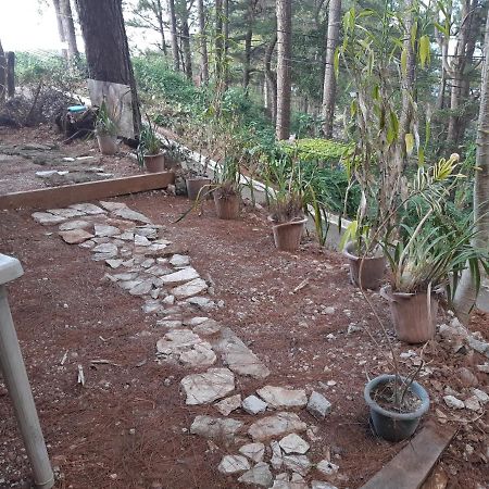 Hotel Noel'S First Floor Baguio City Exterior foto